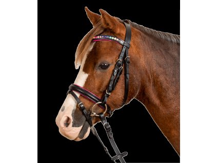 Uzdečka Pinky STAR (Barva černá, Velikost MSH)