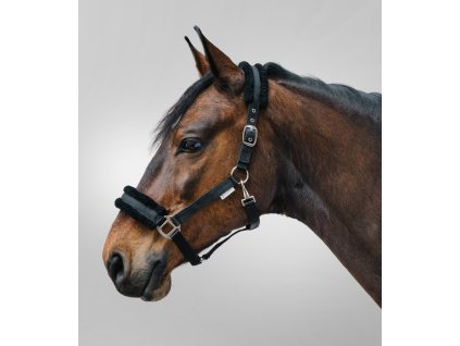 Ohlávka pro hříbě First Waldhausen (Barva černá, Velikost MSH)