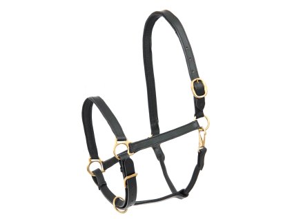 Ohlávka kožená Star Robust Waldhausen (Barva černá, Velikost PON)