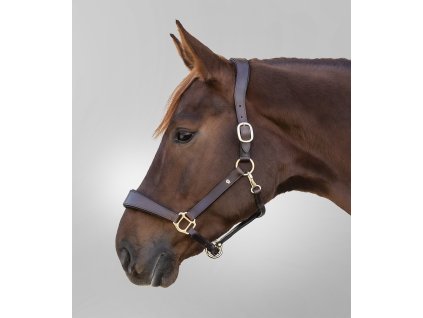 Waldhausen S-Line Kožená ohlávka Anatomic (Barva hnědá, Velikost WB)