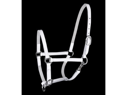 STAR Ohlávka výstavní, kůže (Barva bílá, Velikost MSH)