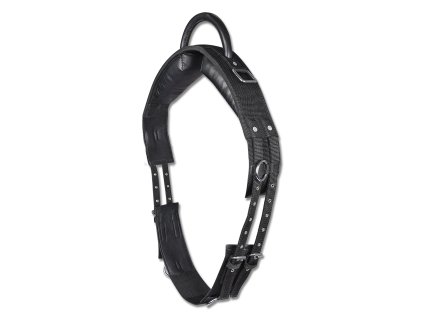 Madla lonžovací jeden úchyt Waldhausen (Barva černá, Velikost SH)