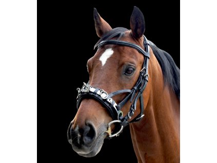 Obnosek lonžovací Waldhausen, kůže (Barva černá, Velikost VB)