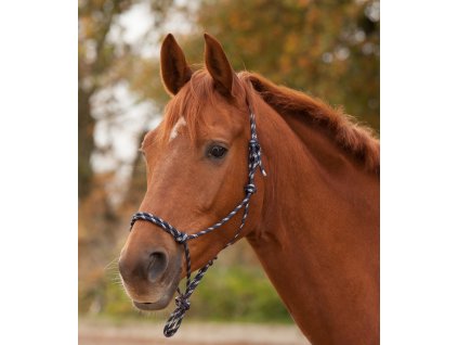 Ohlávka provazová Waldhausen (Barva půlnoční modrá/stříbrná, Velikost PON)