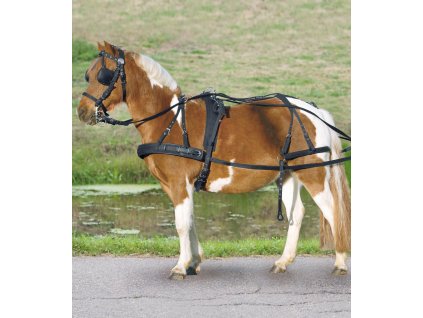 Postroj poprsní syntetika Waldhausen, pony a shetty (Barva černá, Velikost PON)
