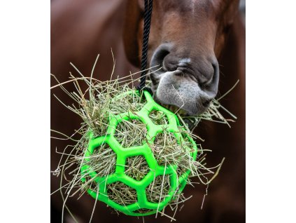 Míč na seno pro koně Waldhausen (Barva zelená)