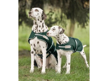 Obleček pro psa pláštěnka Waldhausen (Barva jedle zelená, Velikost 35 cm)