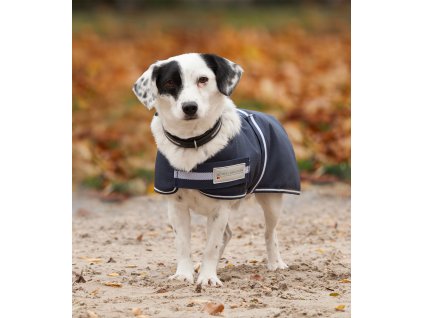 Deka pro psy COMFORT, 200 g (Barva půlnoční modrá, Velikost 35 cm)