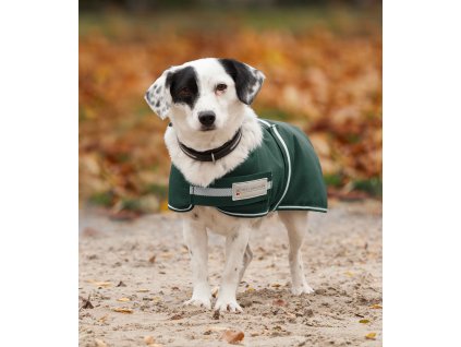 Deka pro psy COMFORT, 200 g (Barva jedle zelená, Velikost 35 cm)