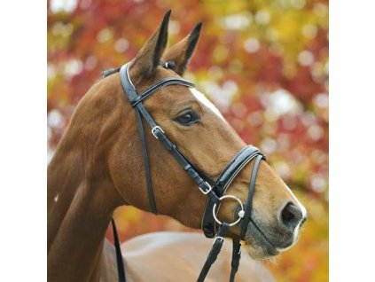 Kozena uzdecka Wembley X Line Benissa 1901201711433183017