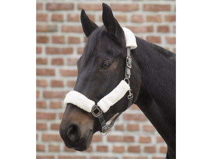 Ohlavka FLUFFY Waldhausen PONY 2505202214020556557