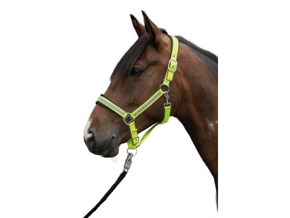 Reflexni ohlavka HKM 0605202415490938690