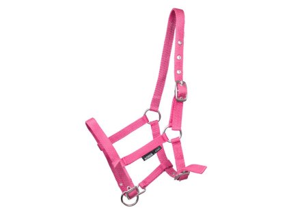 Snímek obrazovky 2025 06 01 085412