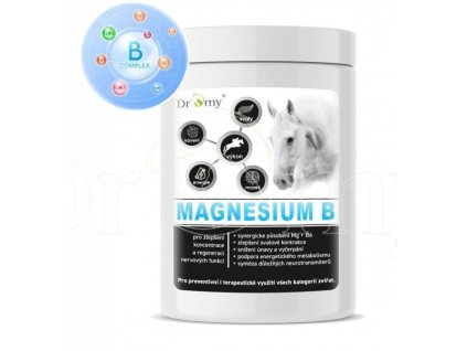 DROMY Magnesium B 1 kg 1202202516265660127