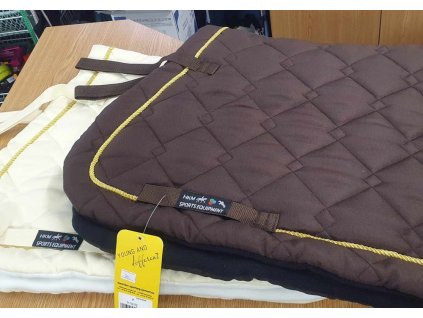 462575519 3899735620293024 6338359418226058433 n 0312202411130398164