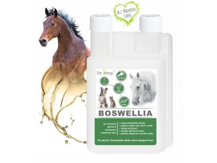 Dromy Boswellia Liquid 1 l