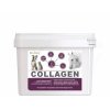 DROMY Collagen 2,5 kg - 90 dávek