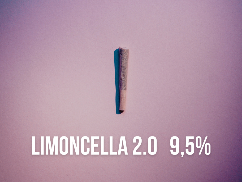 joint limoncella 2