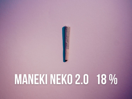 Neko 2.0