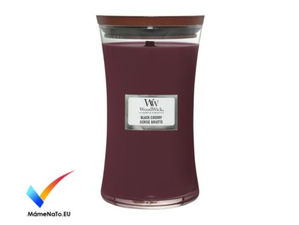 SZŠ a VOŠZ – provoz vrátnice Čerpání dovolené v období vánočních prázdnin 2025 Tabulka nahrazuje žádanky o dovolenou, záznam prosím vyplňte a podepište. 6