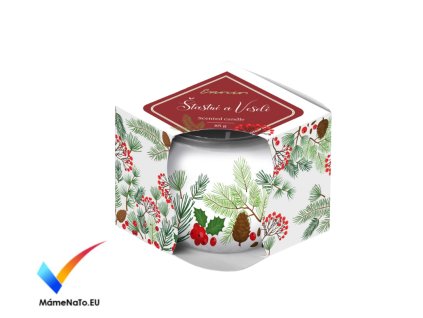 SZŠ a VOŠZ – provoz vrátnice Čerpání dovolené v období vánočních prázdnin 2025 Tabulka nahrazuje žádanky o dovolenou, záznam prosím vyplňte a podepište. (7)