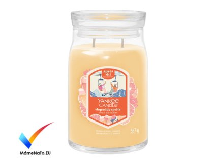 SZŠ a VOŠZ – provoz vrátnice Čerpání dovolené v období vánočních prázdnin 2025 Tabulka nahrazuje žádanky o dovolenou, záznam prosím vyplňte a podepište. (10)