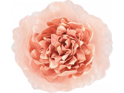 kvet rose in fiore 12cm