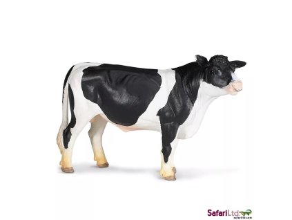 236673 holstein byk