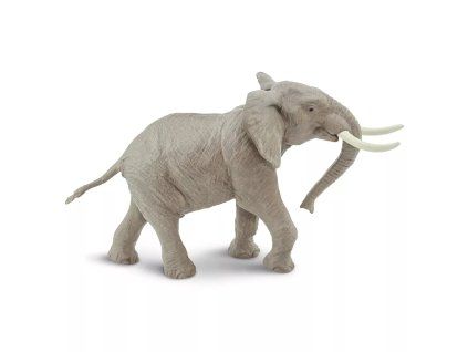 236499 slon africky