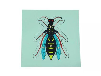 235179 puzzle vosa
