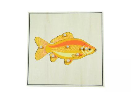 235209 puzzle s kostrou ryba