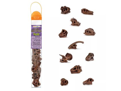235599 tuba lebky dinosauru