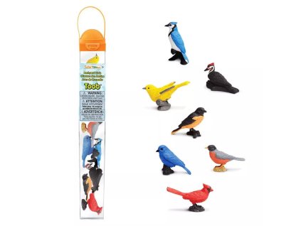 235617 tuba ptaci na dvorku