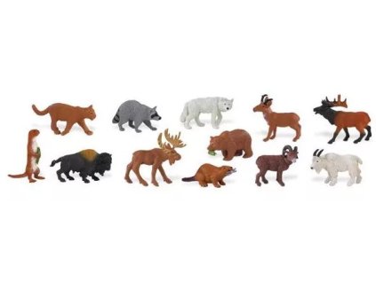 235716 zvirata severni ameriky