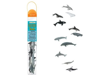 235851 tuba velryby a delfini