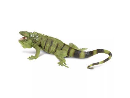 236166 leguan