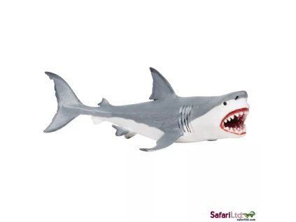 236337 megalodon
