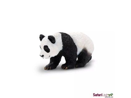 236376 mlade pandy