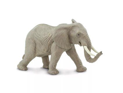 236400 slon africky