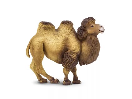 236466 velbloud dvouhrby