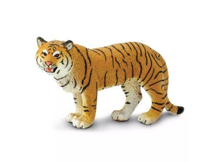 236481 samice tygra bengalskeho