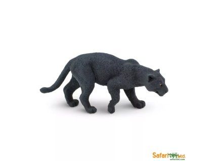 237006 cerny jaguar