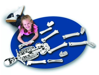 237270 penova puzzle kostra