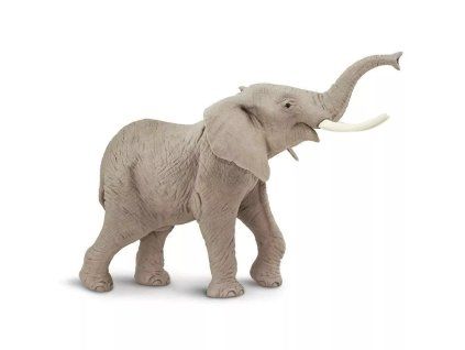 237342 slon africky