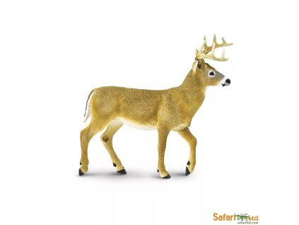 237729 jelenec beloocasy