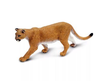 240648 puma americka