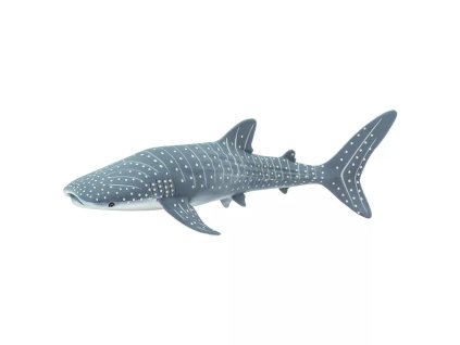 236781 zralok velrybi