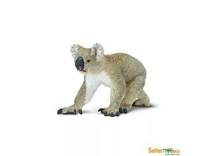 237009 koala