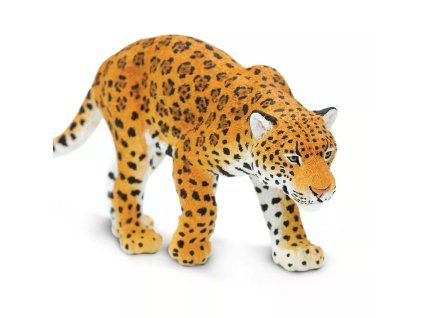 237012 jaguar