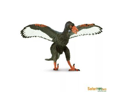 237048 archaeopteryx